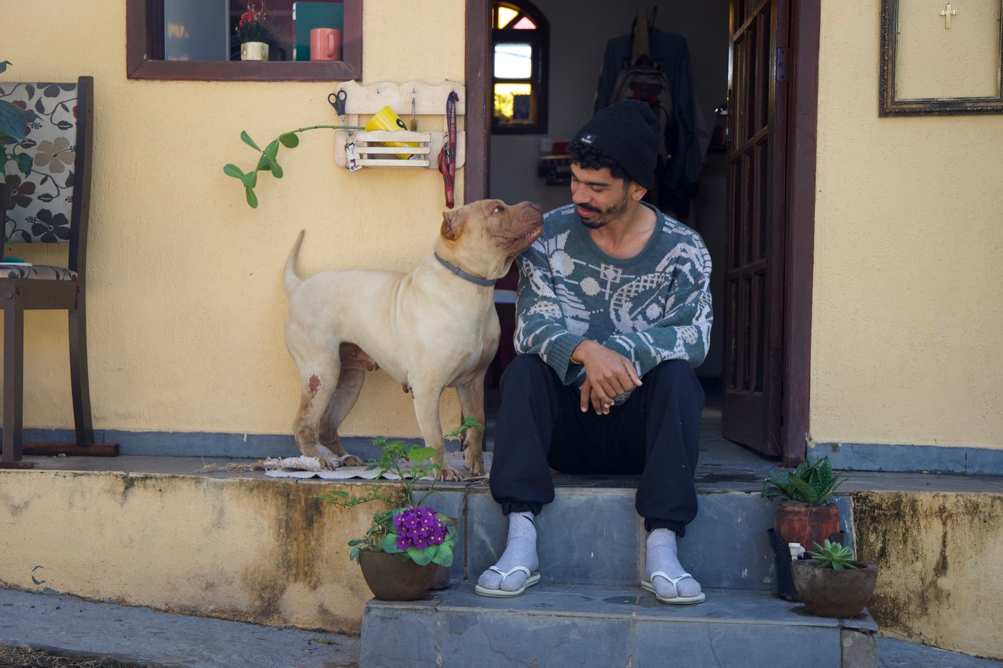 Acolhido sentado na varanda ao lado de um cachorro